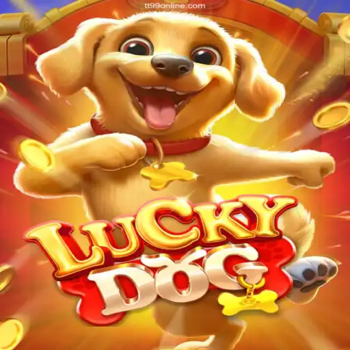 Unveiling the Thrills of LuckyDog: An Exciting Casino Adventure